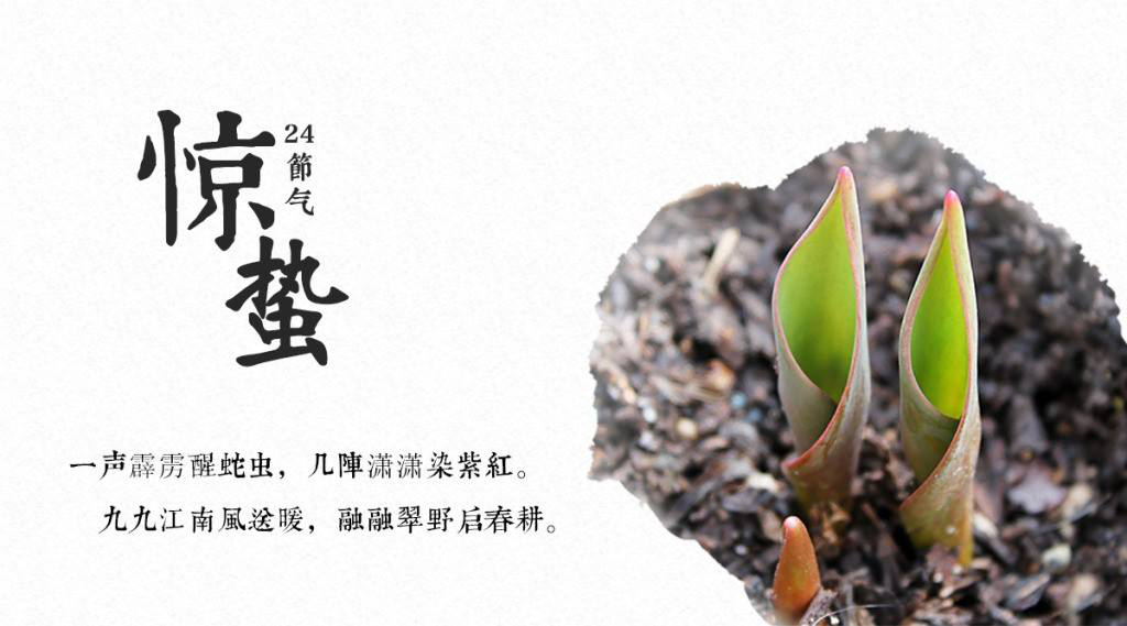 餐飲空間設(shè)計(jì)你現(xiàn)在不搞，那要等什么時(shí)候搞