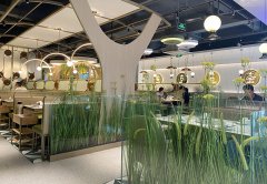 餐廳生意不好應(yīng)該怎么辦，餐飲老兵的8條建議：其中有幾條餐飲人都踩過！